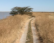 Makgadikgadi Pans